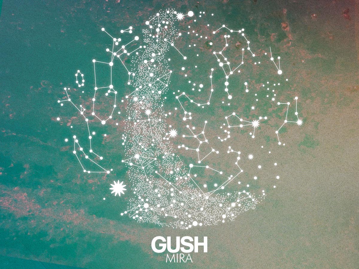 gush-definition-what-is